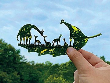 【10月のアクション】個性を認め合うSDGs　ADHDで毎日怒られてばかりいた僕が〝葉っぱ切り絵アート〞に出合って自由になれたワケ