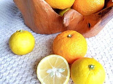 【節約中でも心ゆたかに】108円｢ゆず｣で冬を120％楽しむ