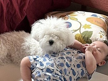 かわいいの渋滞！手が離せない状況で聞こえた息子の「ぴえーん」という泣き声、止めてくれたのは小さな家族だった