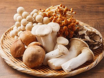 【管理栄養士が解説】「きのこ」を食べすぎるとどうなる？知っておきたい「きのこ」のメリット＆デメリット