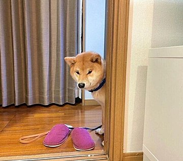 Ze P X3yy4caxm Ze P X3yy4caxm