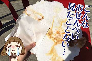 函館駅の「いか焼せんべい」がダイナミック！　海の幸が味わえる贅沢お菓子