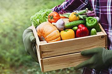 たむらけんじ、新しい趣味を公開「安心安全な自家製野菜を作るため…」